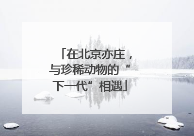 在北京亦庄，与珍稀动物的“下一代”相遇