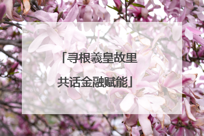 寻根羲皇故里 共话金融赋能