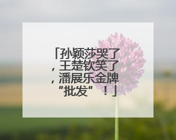 孙颖莎哭了，王楚钦笑了，潘展乐金牌“批发”！