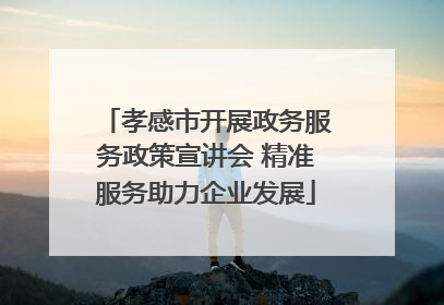 孝感市开展政务服务政策宣讲会 精准服务助力企业发展