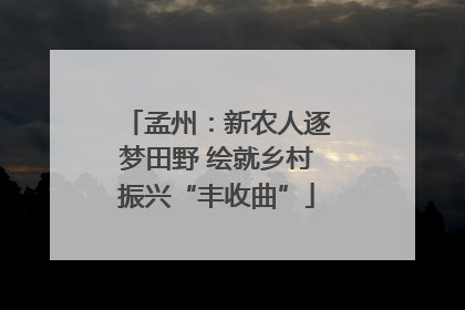 孟州：新农人逐梦田野 绘就乡村振兴“丰收曲”