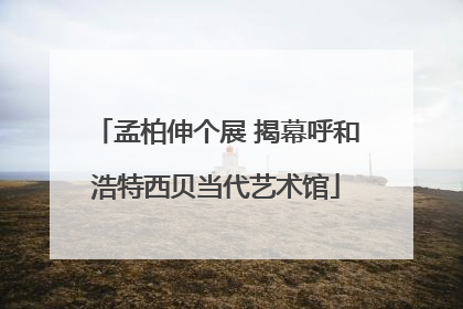 孟柏伸个展 揭幕呼和浩特西贝当代艺术馆