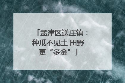 孟津区送庄镇：种瓜不见土 田野更“多金”