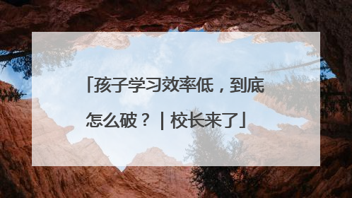 孩子学习效率低，到底怎么破？｜校长来了