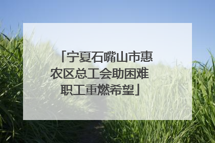宁夏石嘴山市惠农区总工会助困难职工重燃希望