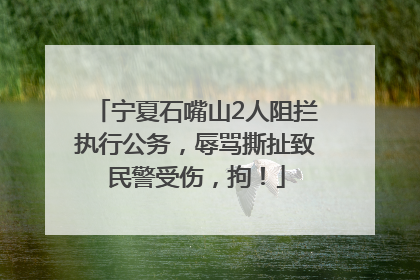 宁夏石嘴山2人阻拦执行公务，辱骂撕扯致民警受伤，拘！