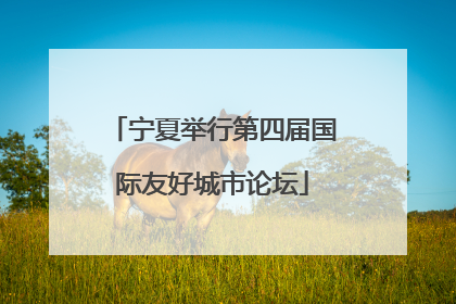 宁夏举行第四届国际友好城市论坛