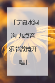 宁夏水洞沟 九点音乐节激情开唱