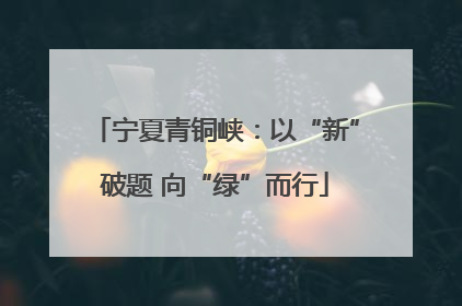 宁夏青铜峡：以“新”破题 向“绿”而行