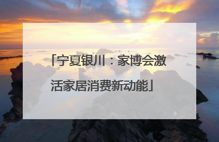 宁夏银川：家博会激活家居消费新动能