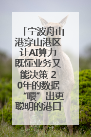 宁波舟山港穿山港区让AI算力既懂业务又能决策 20年的数据“喂”出更聪明的港口