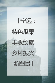宁远：特色瓜果丰收绘就乡村振兴新图景