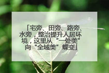 宅旁、田旁、路旁、水旁，整治提升人居环境，这里从“一处美”向“全域美”蝶变