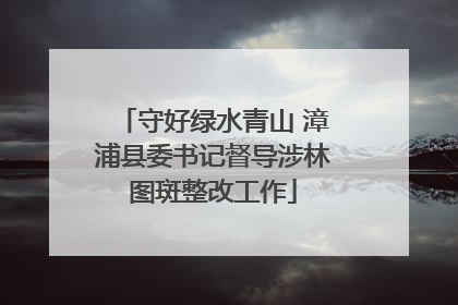 守好绿水青山 漳浦县委书记督导涉林图斑整改工作