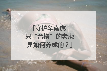 守护华南虎 一只“合格”的老虎是如何养成的？