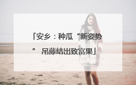 安乡：种瓜“新姿势” 吊藤结出致富果