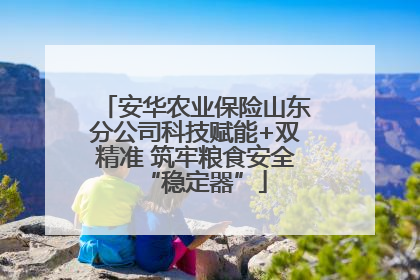 安华农业保险山东分公司科技赋能+双精准 筑牢粮食安全“稳定器”