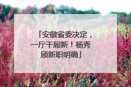 安徽省委决定，一厅干履新！杨秀颀新职明确
