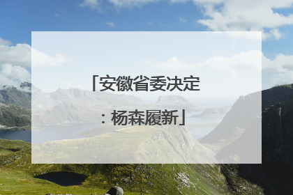 安徽省委决定：杨森履新