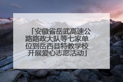 安徽省岳武高速公路路政大队等七家单位到岳西县特教学校开展爱心志愿活动