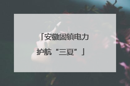 安徽固镇电力护航“三夏”
