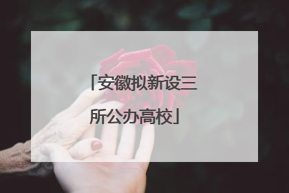安徽拟新设三所公办高校