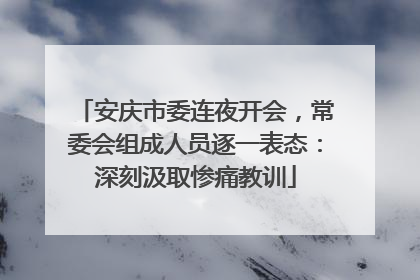 安庆市委连夜开会，常委会组成人员逐一表态：深刻汲取惨痛教训