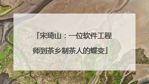 宋琦山：一位软件工程师到茶乡制茶人的蝶变