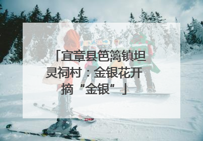 宜章县笆篱镇坦灵祠村：金银花开摘“金银”