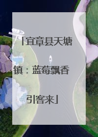 宜章县天塘镇：蓝莓飘香引客来