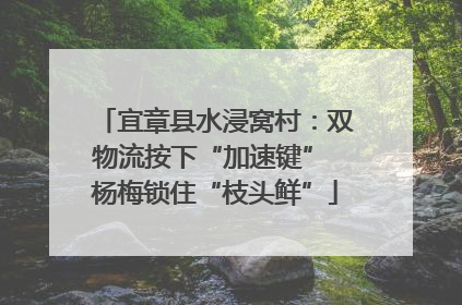 宜章县水浸窝村：双物流按下“加速键” 杨梅锁住“枝头鲜”