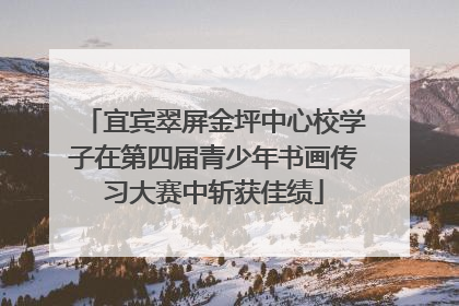 宜宾翠屏金坪中心校学子在第四届青少年书画传习大赛中斩获佳绩
