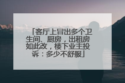 客厅上冒出多个卫生间、厨房，出租房如此改，楼下业主投诉：多少不舒服