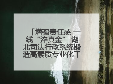 增强责任感 一线“淬真金” 湖北司法行政系统锻造高素质专业化干警队伍