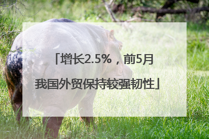 增长2.5%，前5月我国外贸保持较强韧性