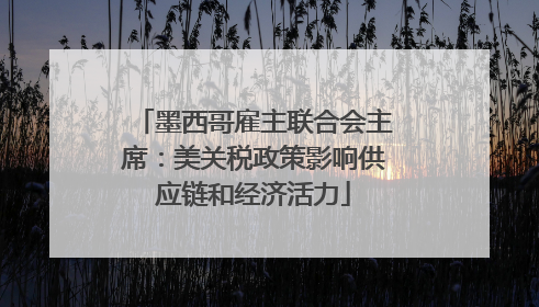 墨西哥雇主联合会主席：美关税政策影响供应链和经济活力