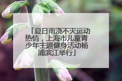 夏日雨浇不灭运动热情，上海市儿童青少年主题健身活动杨浦滨江举行