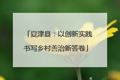 夏津县：以创新实践书写乡村善治新答卷