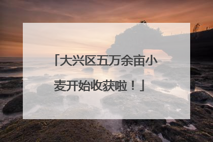 大兴区五万余亩小麦开始收获啦！