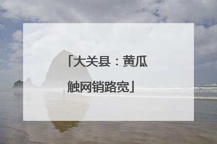 大关县：黄瓜触网销路宽