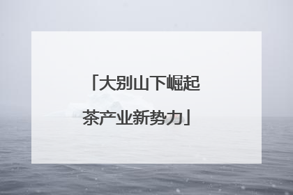 大别山下崛起茶产业新势力