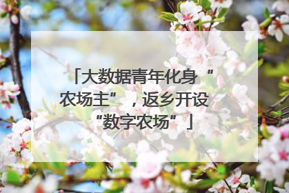 大数据青年化身“农场主”，返乡开设“数字农场”