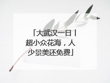 大武汉一日丨超小众花海，人少景美还免费