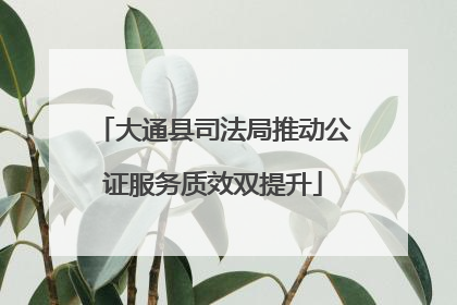 大通县司法局推动公证服务质效双提升
