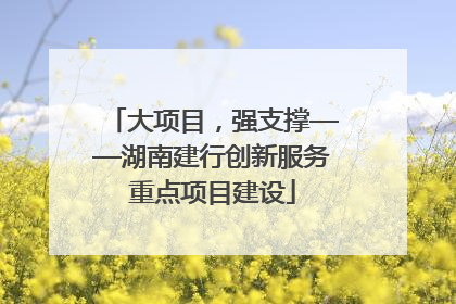 大项目，强支撑——湖南建行创新服务重点项目建设