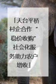 天台平桥村企合作“稳价收购” 社会化服务助力农户增收