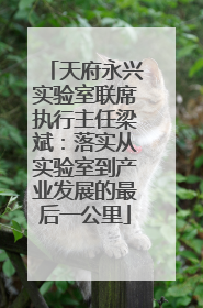 天府永兴实验室联席执行主任梁斌：落实从实验室到产业发展的最后一公里