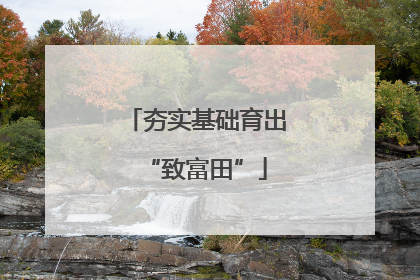夯实基础育出“致富田”