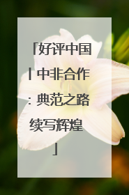 好评中国丨中非合作：典范之路 续写辉煌