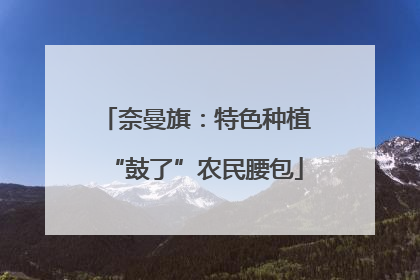 奈曼旗：特色种植“鼓了”农民腰包